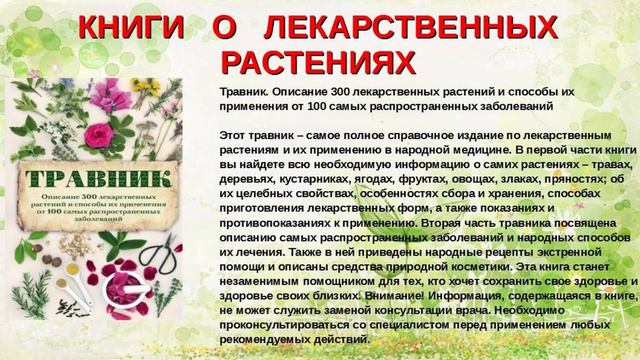 Целебные травы вокруг нас смотреть онлайн