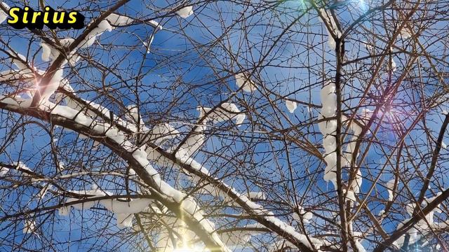 Какие знаки зодиака будут считать каждую копейку остаток января 2023 года смотреть онлайн