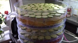 Вкусная и полезная заготовка на зиму чипсов из кабачков на сушилке для овощей и фруктов