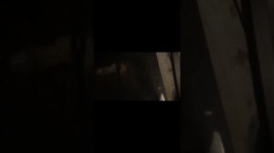 Сцепка модуля толкача с мотособакой веревкой