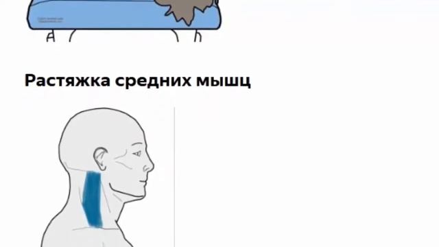 Для растяжки мышц шеи и улучшения мобильности шейного отдела смотреть онлайн