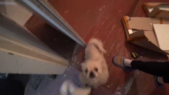 Зачем нужна СУШИЛЬНАЯ МАШИНА ? смотреть онлайн