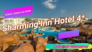 Отзыв об отеле Sharming Inn Hotel 4* (Египет, Шарм-эль-Шейх)