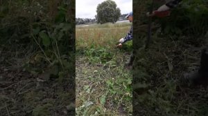 Коса Две Коровы. Offner 2 Rinder. Полевые испытания