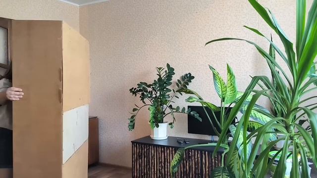 КАК ПОКРАСИТЬ СТАРЫЕ ОБОИ НЕ ПОД ПОКРАСКУ? РЕМОНТ ЗА 2 ДНЯ ? ОТ РЕЗУЛЬТАТА Я В ШОКЕ! смотреть онлайн