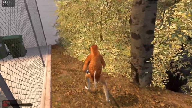 Wild ZOO Hide and SEEK Moments (Garry's Mod) смотреть онлайн