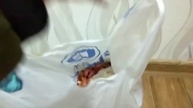 Отъезд папули..Вахта, которая длится по сей день..СКУЧАЕМ!