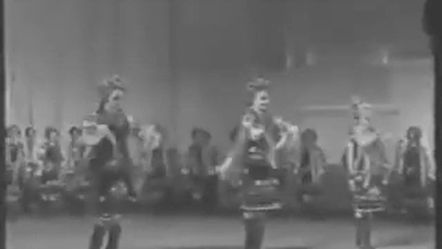 Национальный ансамбль танца Украины им. П. Вирского "Гопак" / P. Virsky National Folk Dance Ensembl смотреть онлайн