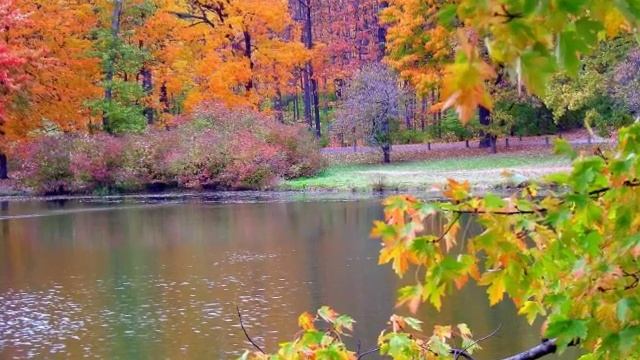 Осенний листопад. смотреть онлайн