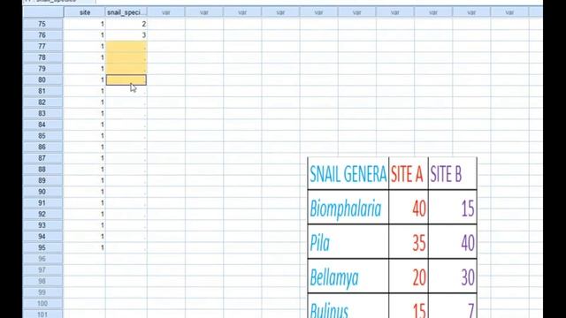How to analyse counts/ ordinal data using chi-square test in SPSS by Ssekajja Samuel смотреть онлайн