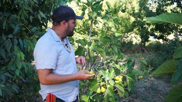 1 Acre Homestead Tour 5 YEARS INTO ABUNDANCE With Erik Ohlsen [FULL MOVIE]