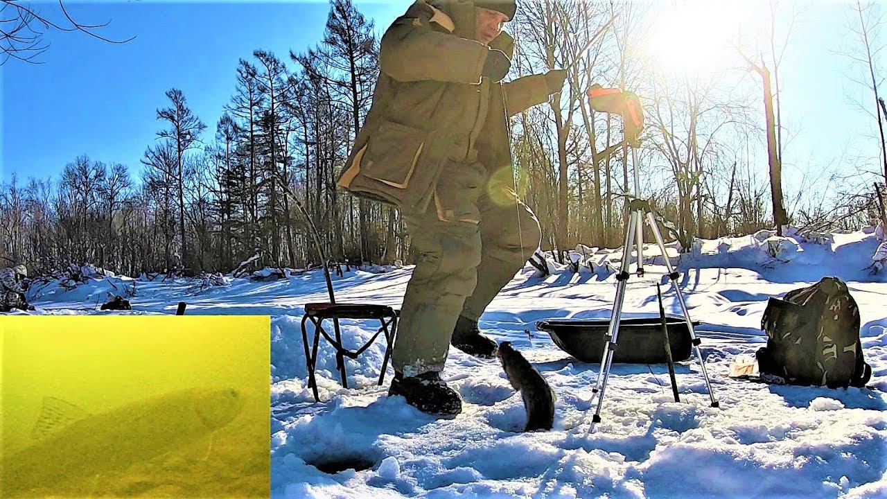 Ушёл в дикую Тайгу на РЫБАЛКУ. Вокруг зверьё. Хариусы ленки кишат под льдом смотреть онлайн