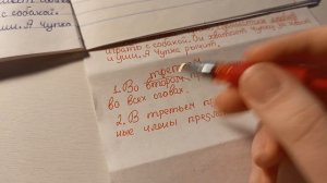 roleplay teacher// проверка тетрадей по русскому// диктант