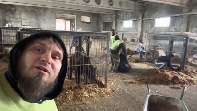 Заботимся о медведях 🐻🐻🐻🤚☀️ смотреть онлайн