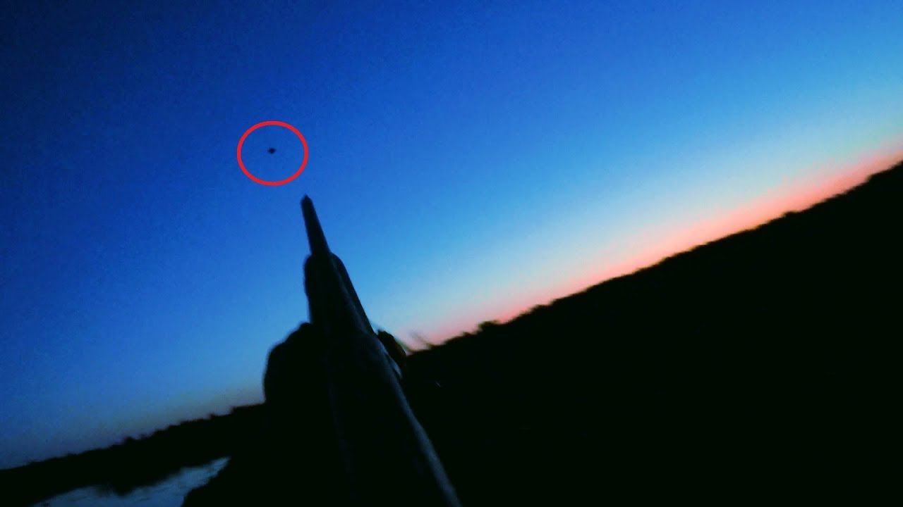 ОХОТА НА УТОК!!! СУПЕР ВЕЧЕРКА!!! Утки приплыли на манок! смотреть онлайн