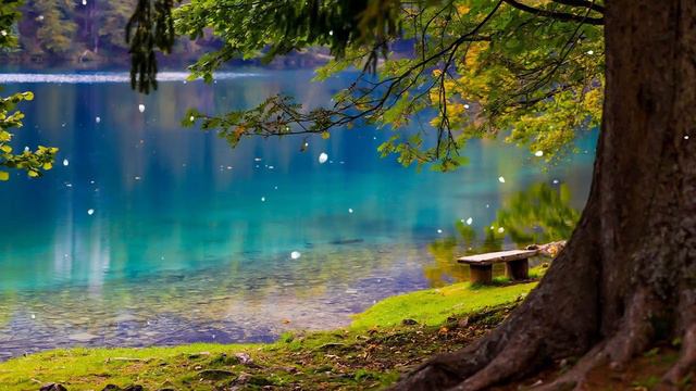 Музыка дающая энергию! Это Безумно Красивая Мелодия! Красивая музыка Сергея Чекалина!#68 смотреть онлайн