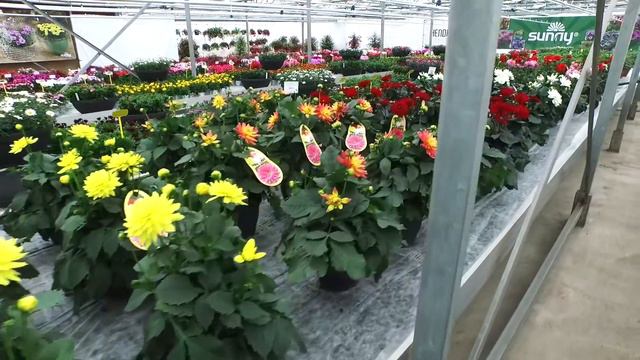 Green Works Open House 2015 смотреть онлайн