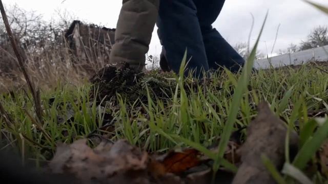 Металлоискатель импульсный Pirat TL смотреть онлайн