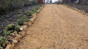 дорожки для сельхоз участков,  Питомник Роз Полины Козловой rozarium.biz