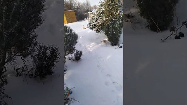 Гостевой Дом Ростов Великий смотреть онлайн