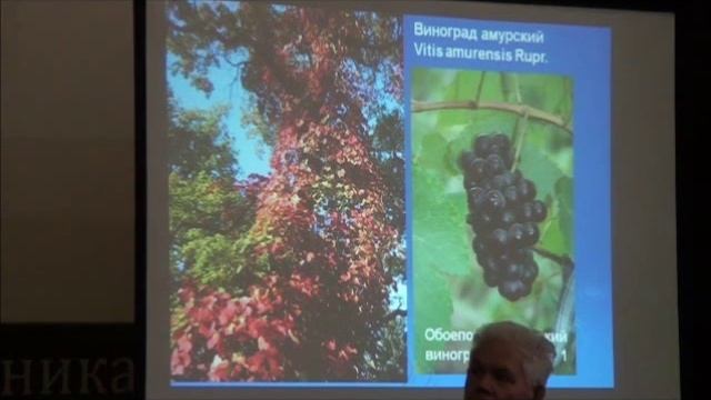 Чебукин П А актинидия и другие растения Дальнего Востока ч 2 смотреть онлайн