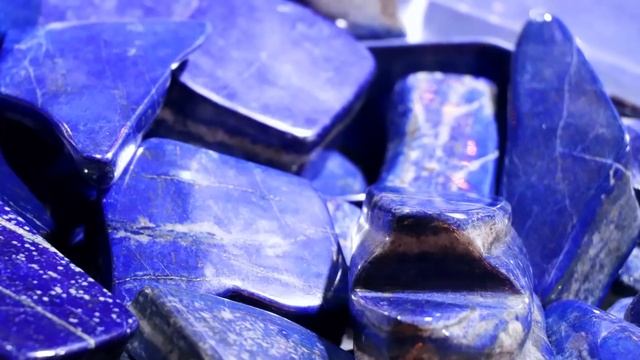 This Pearl GROWS On a Snake? смотреть онлайн