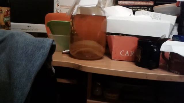 Чайный гриб фильтрует воду смотреть онлайн