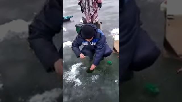 volgodonsk fishing смотреть онлайн