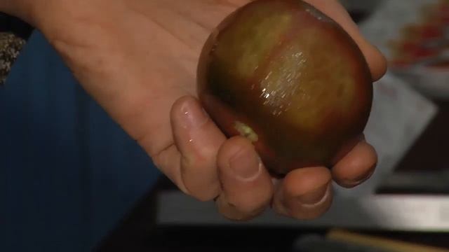 Луч­шие по­дар­ки на 23 фев­ра­ля и 8 марта на ми­ни-вы­став­ке «Мир ин­стру­мен­тов»! смотреть онлайн