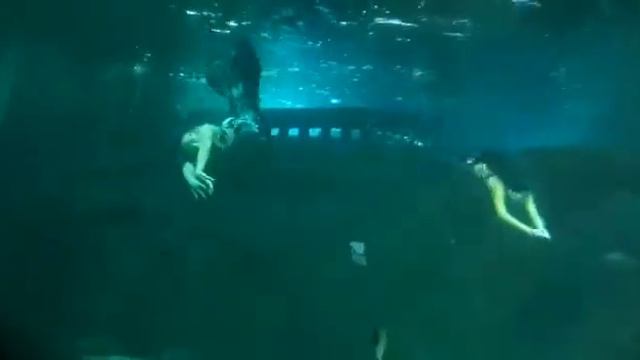 Русалки смотреть онлайн