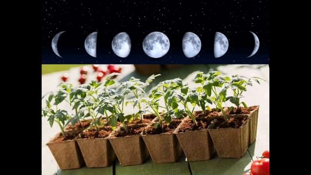 Лунный календарь. Зачем он нужен? Что такое Лунный календарь?