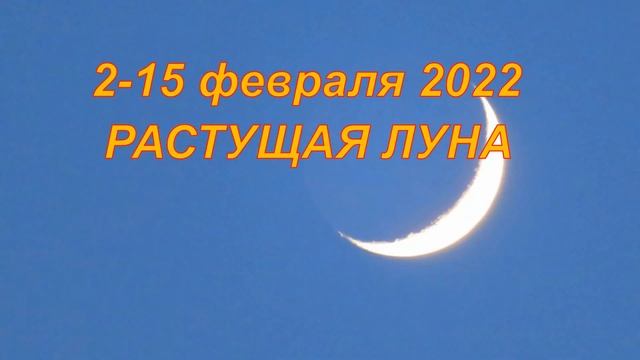 РАСТУЩАЯ ЛУНА в ФЕВРАЛЕ 2022. ПРИМЕТЫ и ОБРЯДЫ смотреть онлайн