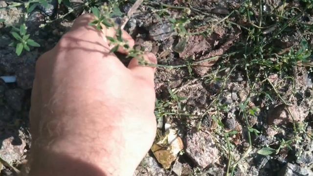 Где искать цветной металл в Городе . Поиск меди и металлолома во дворах смотреть онлайн