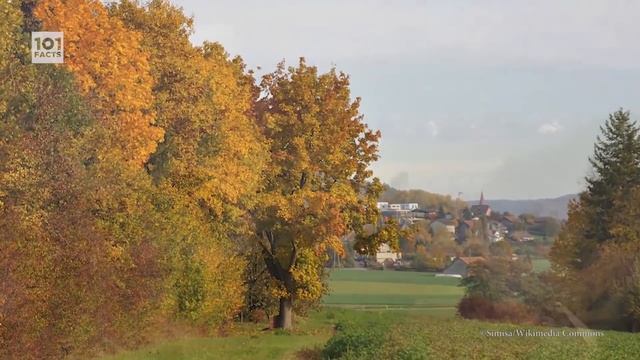 101 Facts About Germany смотреть онлайн