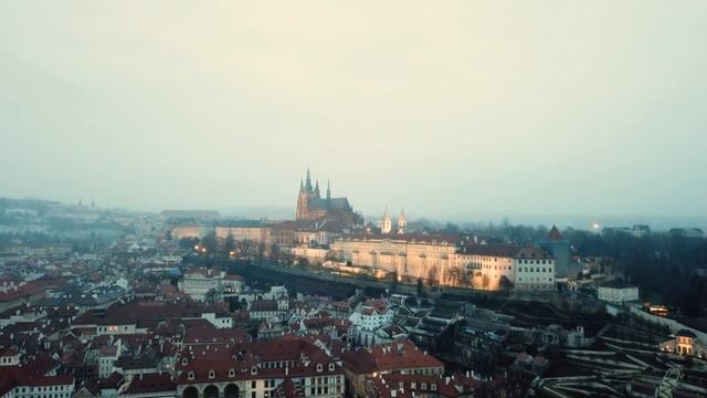 Кажется, я съел свиное колено...