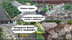 Расширяю каменистый уголок с хвойными растеними.Природные формы камней в ландшафте.