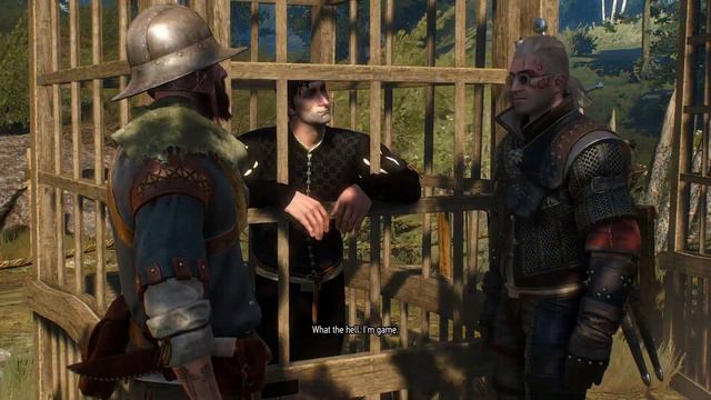 The Witcher 3: Hearts of Stone | #6 | Yarrow Extract | LP | 1080p смотреть онлайн