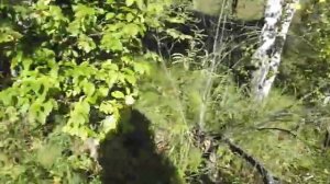 31 августа в горах на своей пасеке.Солонешенский район,Алтайский край.