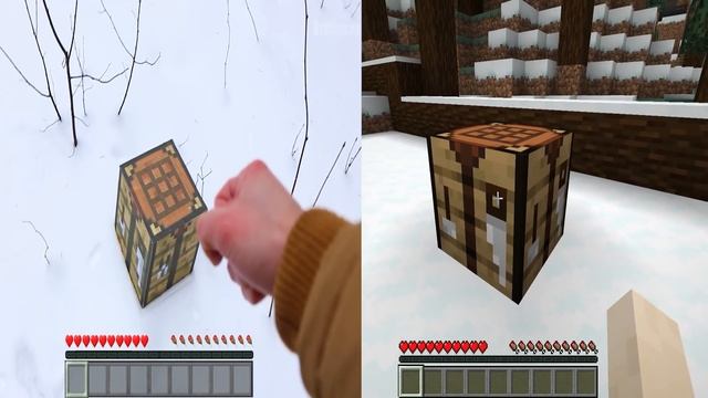 Minecraft In Real Life Vs Minecraft In The Game