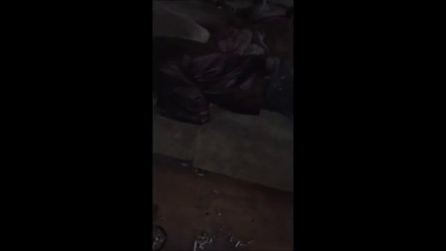 Носики курносики сопят