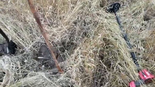 Коп металла с Ванквишь 440. Ванквишь затащил!! смотреть онлайн