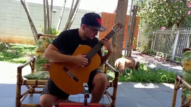 Für Elise - Ludwig van Beethoven (Fingerstyle) смотреть онлайн