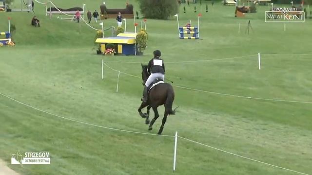 Strzegom October Festival 2019  - CCI2 L Section A  -  CROSS COUNTRY