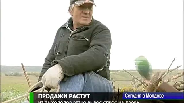 Из-за холодов резко вырос спрос на дрова смотреть онлайн