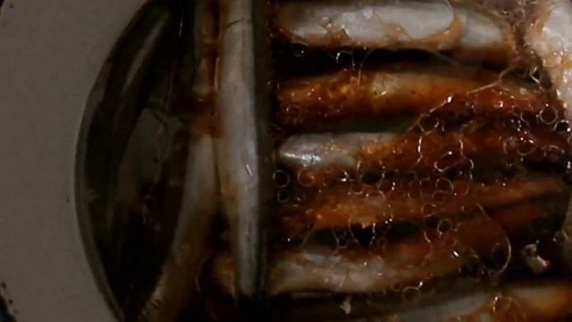 Фотография Моды и Глянцевых Журналов