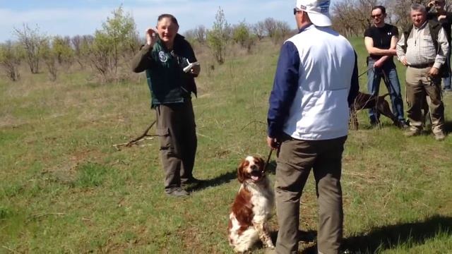 CACIT смотреть онлайн