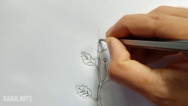How to draw Plant : Parts of a Flowering Plant | Food where does it come from | NCERT Class 6 CBSE смотреть онлайн