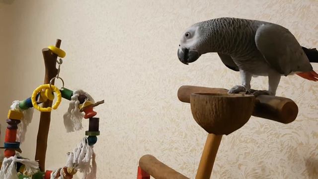 Вот и стенд освоили наконец-то! смотреть онлайн