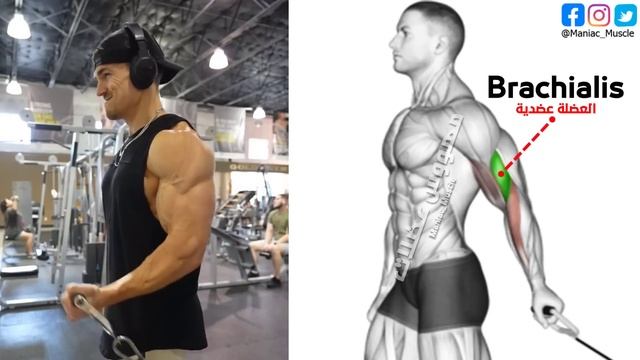 7 BEST Exercises for WIDER BICEPS смотреть онлайн
