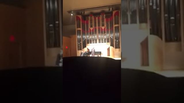 Papageno Suicide смотреть онлайн